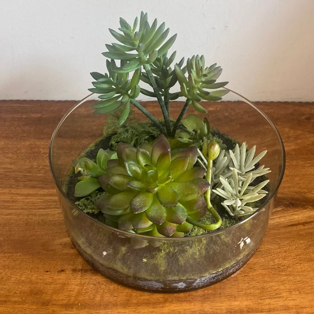 Target Threshold. Succulents in terrarium Glass bowl arrangement.